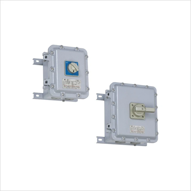 Motor Switches Type-1